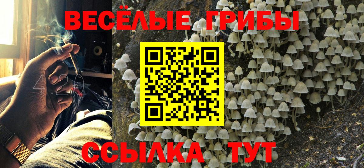 Псилоцибиновые грибы Magic Shrooms Томск